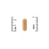 California Gold Nutrition, протеолітичні ферменти широкого спектру, 90 вегетаріанських капсул із відстроченим вивільненням, фото 3