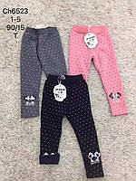 Лосини утеплені для дівчаток оптом, S&D, 1-5 років, арт. CH-6523, фото 8