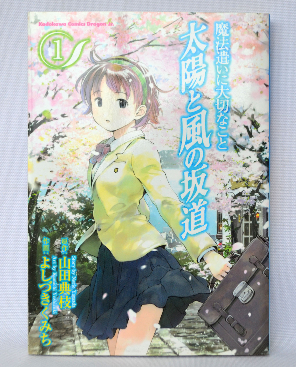 Манга на японській мові Mahoutsukai ni Taisetsu na Koto: Taiyou to Kaze no Sakamichi ( Щось важливе для мага )