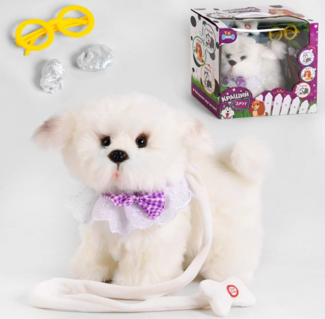 Собачка болонка на повідку