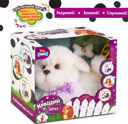 Собачка болонка на повідку, фото 2