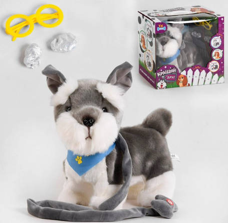 Собачка Цвергшнауцер на повідку, фото 1