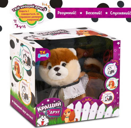 Собачка Померанський шпіц на повідку, фото 2