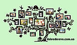 Сімейне дерево Love на 18 фото, родинне дерево на стіну з фото рамками, фото 5