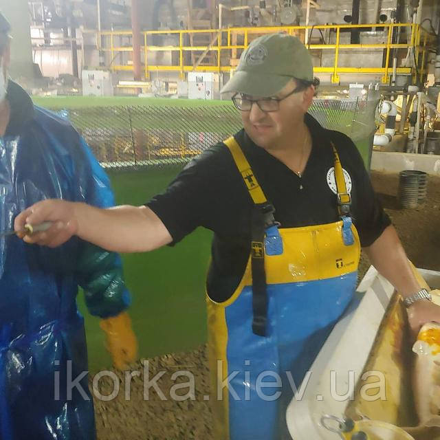 Фасовка и обработка туши осетра разделка осетровых их упаковка и термообработка