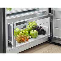 Electrolux RRT5MF38W1. Окремо стояча холодильна камера 186 см, фото 3
