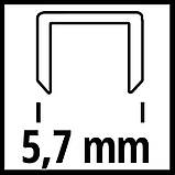 Скоби для пневматичного степлера Einhell 5,7х13 мм, 3000 шт. (4137850), фото 4
