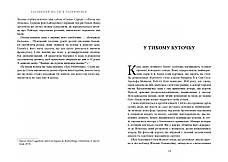 Книга «Таємниця на ім’я Лаґерфельд». Автор - Лоран Аллан-Карон, фото 5