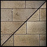 Щітка середньої жорсткості для Einhell PICOBELLA (3424120), фото 3