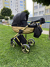 Дитяча коляска Adamex Chantal Polar Star (Gold) Star 13