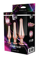 Набір анальних металевих пробок Gleaming Love Pleasure Set Gold