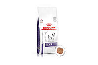 Royal Canin Dental Small Dog (Роял Канин Дентал Смол Дог) сухой корм для собак до 10 кг для ротовой полости