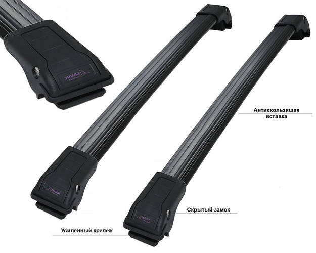 Багажник на крышу Kia Carnival 2006-2014 черный на рейлинги, цена 2960 ...