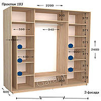 Шкаф-купе 3Д Практик №103 вариант3 220х60/45 h-220/240, ТМ Гарант