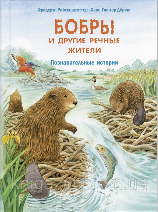 Дитяча книга Бобри та інші річкові жителі. Пізнавальні історії Для дітей від 0 до 6 років