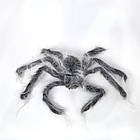 Декоративний Павук з білою шерстю, 42 см, фото 2