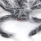 Декоративний Павук з білою шерстю, 42 см, фото 3