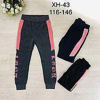Спортивные утепленные штаны для девочек оптом,Taurus, 116-146 см, № XH-43