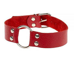 Нашийник Passion, RED