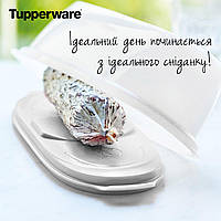 Контейнер для колбасы «Салями» Tupperware (Оригинал) Тапервер