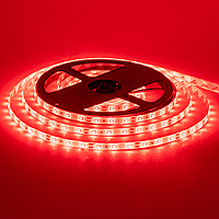 Світлодіодна стрічка 12 V червона smd2835 60 LED/m IP20, 12 В бобіни від 5 метрів