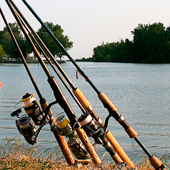 Вудлища, спінінги