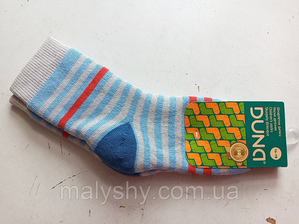 Дитячі шкарпетки махрові - Дюна р. 16-18 (шкарпетки дитячі зимові махрові, Duna) 12в417-1613-голубий, фото 1