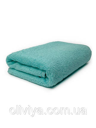 Рушник для рук 40х70 Aruba Blue-2, фото 1