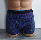 Чоловічі труси Болгари Фламінго Польща Трусі чолові боксери, фото 4