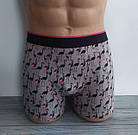 Чоловічі труси Болгари Фламінго Польща Трусі чолові боксери, фото 2