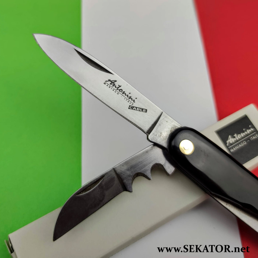 Сексуалды мөлдір шағын бикинидегі жас қыздар