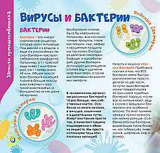 Дружболандія № 10-2021 – Бангладеш (російська мова), фото 4