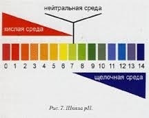 Индикаторная лакмусовая бумага.(рН 0-12).100 полосок. Универсальная.Замер кислотности и щёлочности.++ - фото 7 - id-p228070942