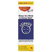 Bioray, NDF Sleepy для детей, Relax The Mind & Sleep Well (расслабление и крепкий сон), со вкусом кленового