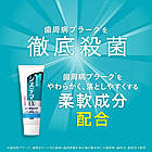 Lion Dentor Systema EX W з IPMP і LSS зубна паста з фтором 1450 ppm, м'ятний смак, 125 г, фото 2