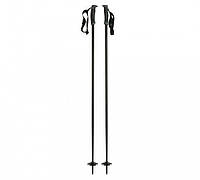 Палки лыжные Black Diamond Fixed length aluminum, 125 см (BD 111554-125)