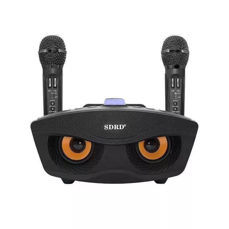 Караоке система з двома мікрофонами. Караоке для будинку для дітей і дорослих SDRD SD-306 Домашня бездротова, фото 1