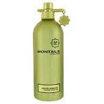 Montale Aoud Ambre парфюмированная вода (тестер) 100мл