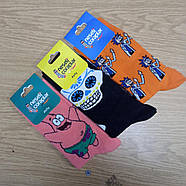 Шкарпетки високі весна/осінь Neseli Coraplar Daily Туреччина one size (37-43р) Випадкове асорті, 30030838, фото 10