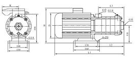 Поверхневий насос CHLFT8-40LDWPR (220V) VARNA потужність 1500 Вт,мах.напір 39 м, Qmax 11, фото 3