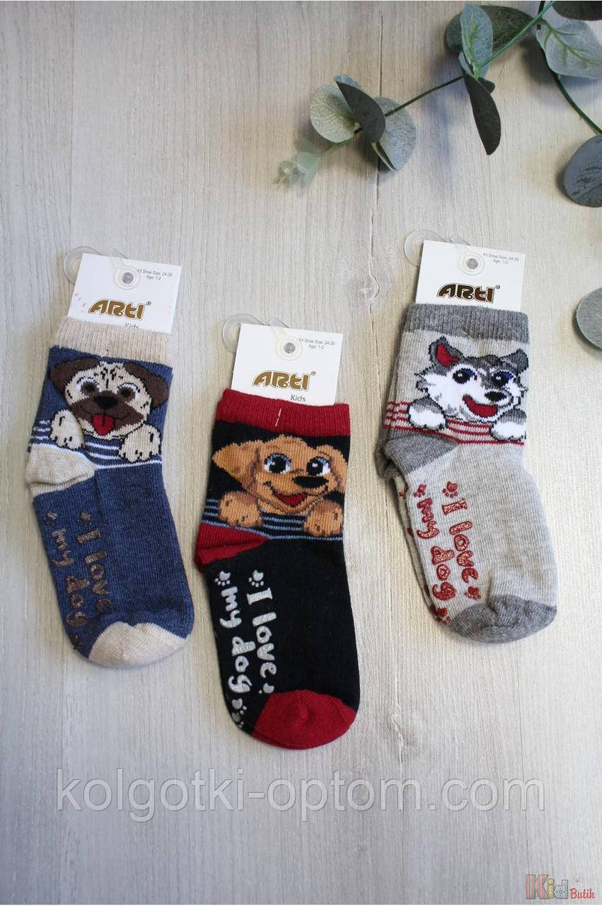 Шкарпетки ОПТОМ з песиком "I love my dog" для хлопчика 5-6 років (18 / 5-6 років) Arti 8680652200557