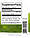 Корінь родіоли, Swanson, Rhodiola Rosea Root, 400 мг, 100 капсул, фото 2
