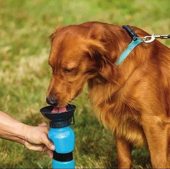 Поїлки Для Тварин, Поїлка Для Собак Аqua Dog, Пляшка Розділена Навпіл Для Зручного Натиску