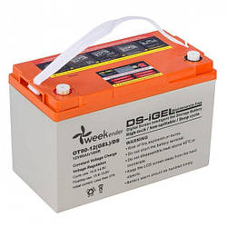 Гелевий акумулятор Weekender DS 90a/h. Купити тяговий акумулятор для електромотора, газового котла, УПСа
