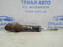 Амортизатор задній Toyota Avensis 2003-2009 4853009660 (Арт.17941)