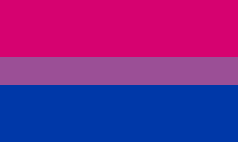 Прапор Бісексуалів Прапорна сітка, 1,35х0,9 м, Кишеня під держак
