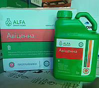 Авиценна, 5л протравитель на 8-12 т (тебуконазол, 50 + прохлораз, 250 + крезоксим-метил, 50). Аlfa