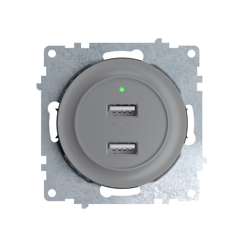 Розетка USB подвійна, з підсвіткою, колір сірий 1E10351302