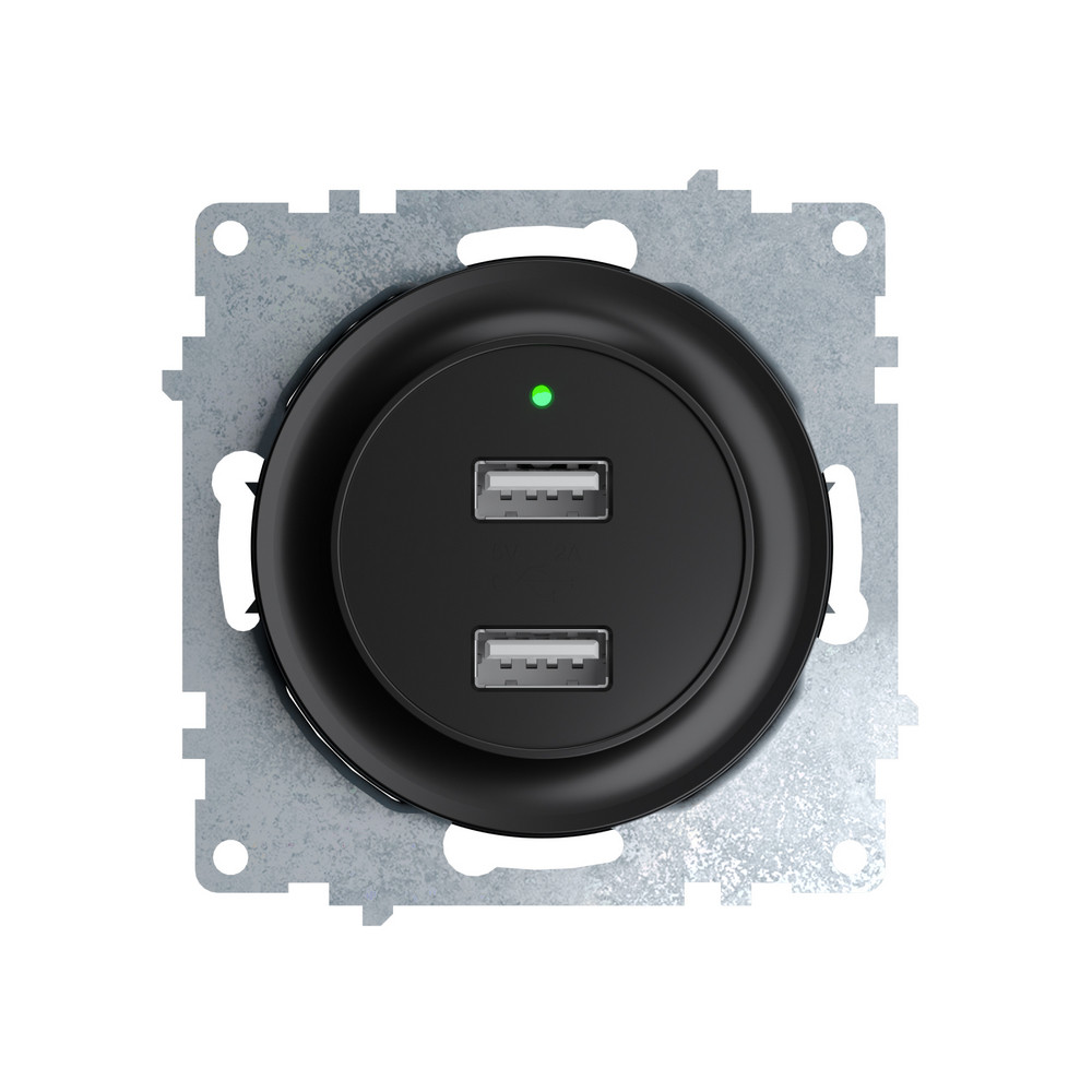Розетка USB подвійна, з підсвіткою, колір чорний OneKeyElectro