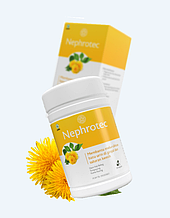 Nephrotec (Нефротек) - капсули для нирок і сечостатевої системи